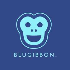 BLUGIBBON PTY LTD